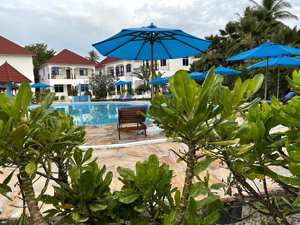 Balcony view overlooking hotel gardens and swimming pool